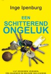 Een schitterend ongeluk